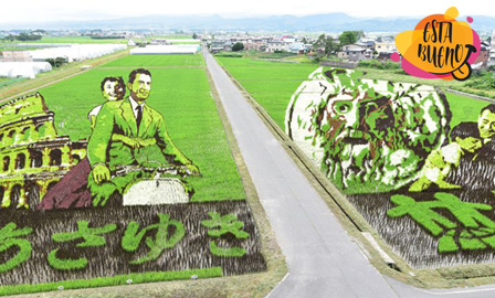 Arte en campos de arroz