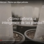 Una manera distinta de ver las plantas