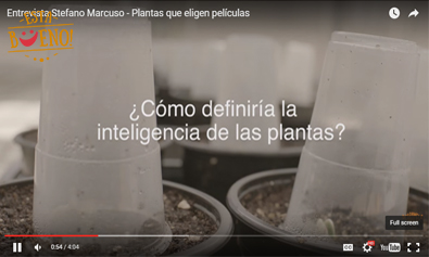 Una manera distinta de ver las plantas